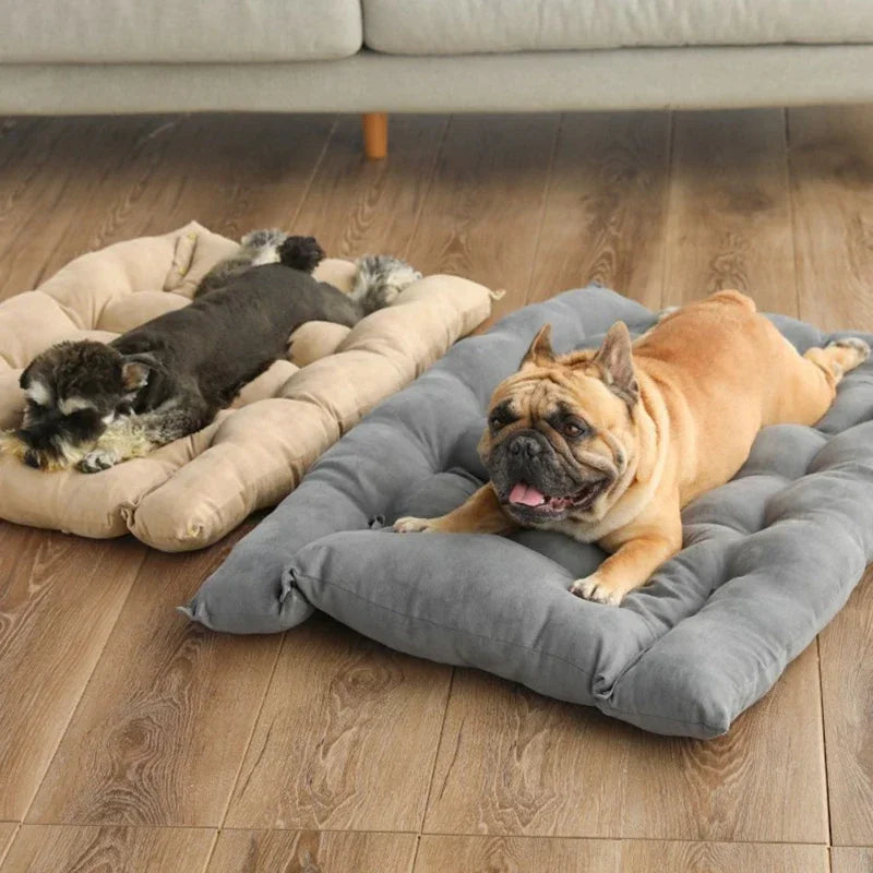 3-in-1 Pet Bed: Sofa, Mat & Kennel!