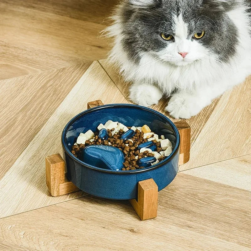 Cat Bowls and Feeders