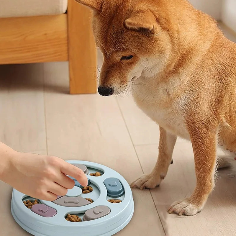 Dog Bowls and Feeders