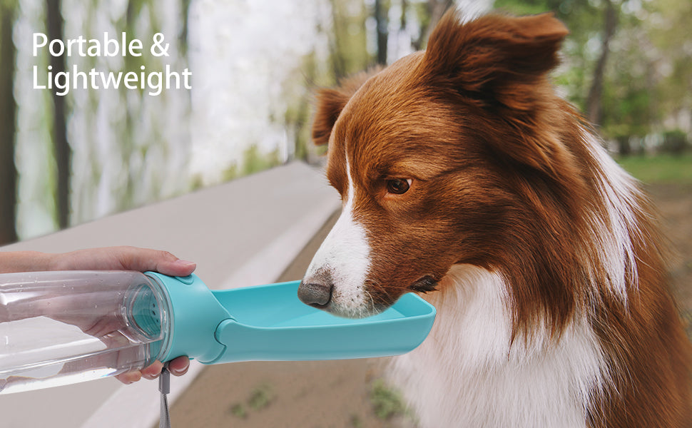 SOICTA Foldable Dog Water Bottle - Portable, Leak-Proof, and Eco-Friendly Water Dispenser for Pets