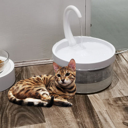 Cat Water Fountain - Promotes Healthy Hydration