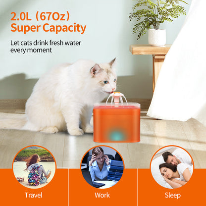 Automatic Flower-Shaped Cat Water Dispenser with LED Light and Quadruple Filtration