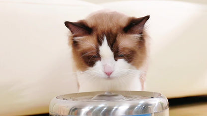 LAIKA Intelligent Water Dispenser - Whisper-Quiet Cat Fountain with 5-Fold Purification System