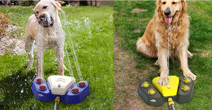 Stylish Automatic Water Fountain for Dogs - Promotes Hydration