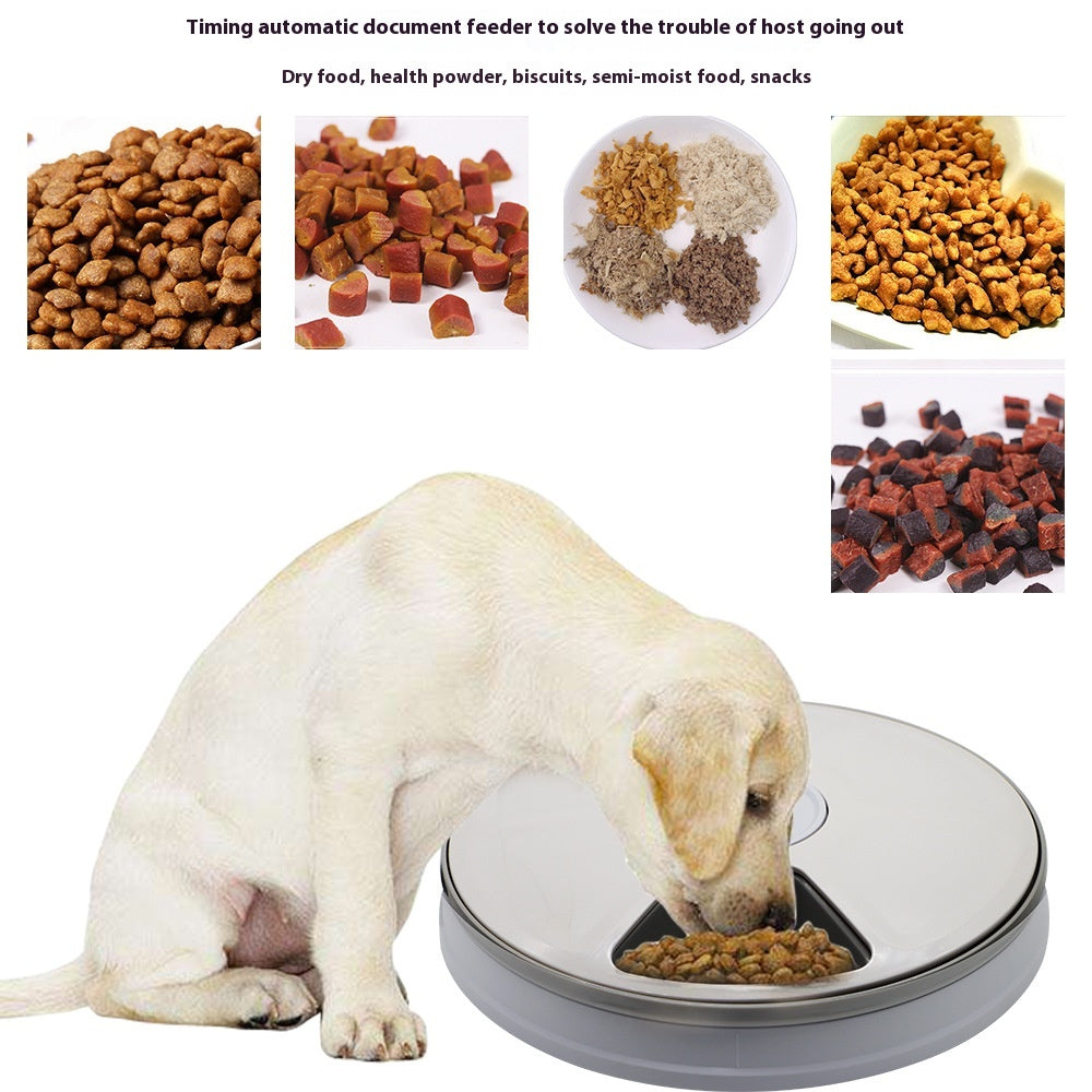 4PawsLife Automatic Dog Feeder - Effortless Feeding Schedule