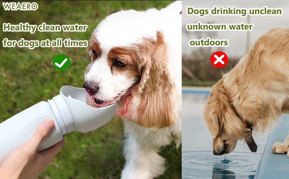 Portable Leak-Proof Dog Water Bottle - Foldable 550ml Travel Dispenser for Outdoor Adventures