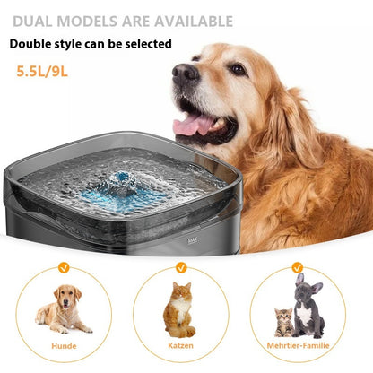 Smart Dog Water Fountain - Large Capacity