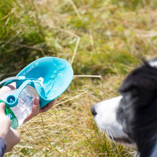 20 OZ Lightweight Portable Pet Water Bottle with Leak-Proof Design