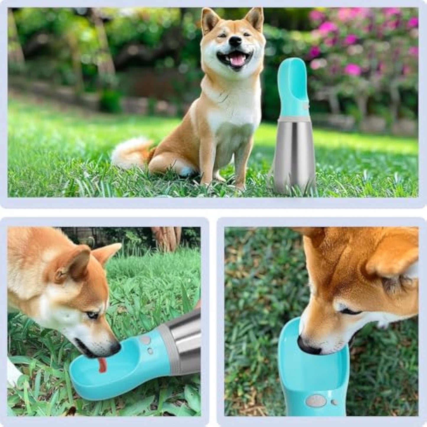 Portable Dog Water Bottle 700ml - Stainless Steel Leak-Proof Dispenser for Travel and Outdoor Adventures