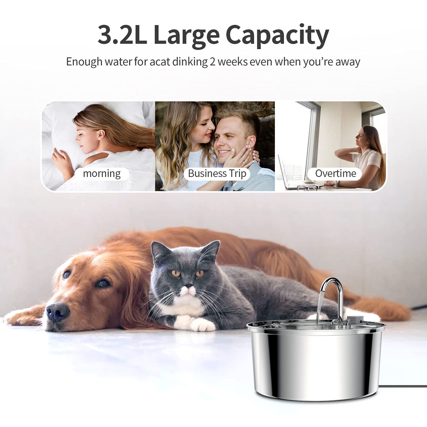 Durable Stainless Steel Automatic Pet Water Fountain - 3.2L Capacity with Advanced Filtration