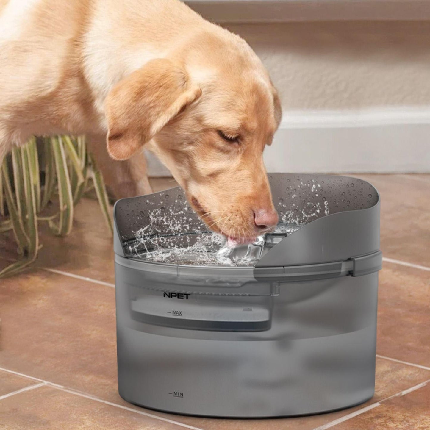 NPET Automatic Pet Water Fountain - Encourages Hydration with Continuous Flow and Whisper-Quiet Operation