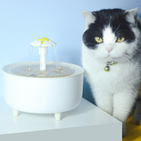 Automatic Flower Pet Water Dispenser - Encourages Healthy Hydration for Cats