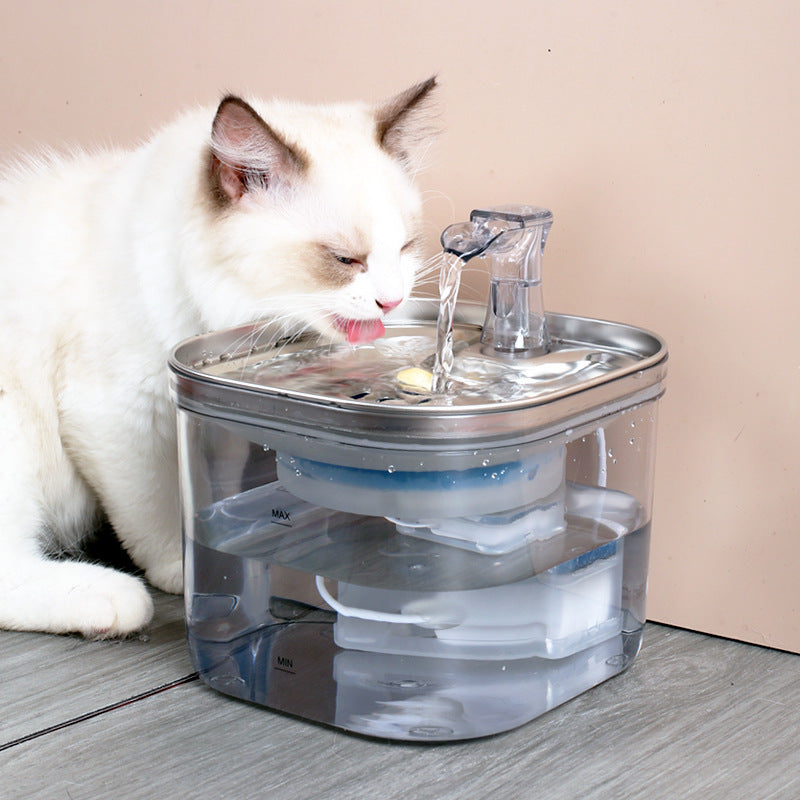 Cat Water Fountain - 2L Stainless Steel, Ultra-Quiet & Easy Clean, Promotes Hydration