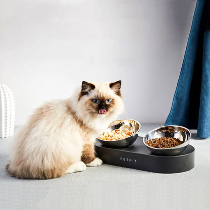 Elevated Pet Bowl: Happy & Healthy Eating