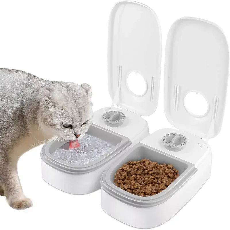 Automatic Pet Feeder: Stress-Free Feeding for Your Furry Friend