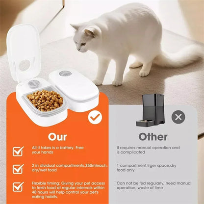 Automatic Pet Feeder: Stress-Free Feeding for Your Furry Friend