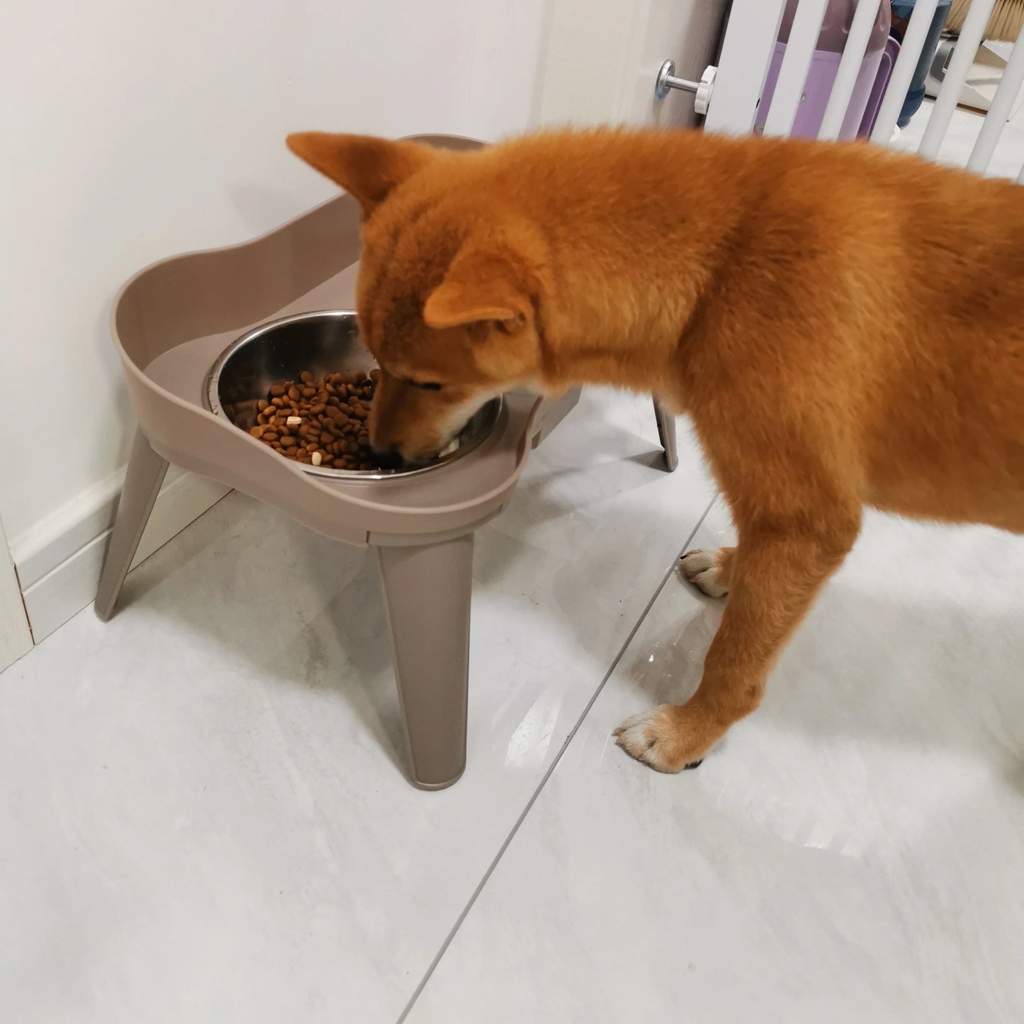 Elevated Dog Bowls: Healthy Eating for Happy Dogs