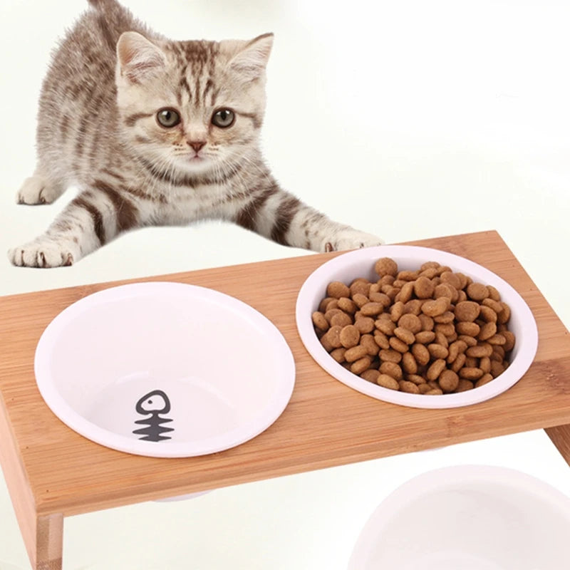 Elevated Pet Bowl Set: Style & Comfort