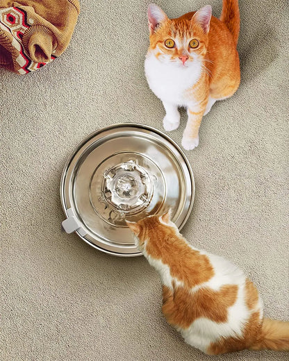 Spoil Your Furry Friend: 2.0L Automatic Cat Water Fountain