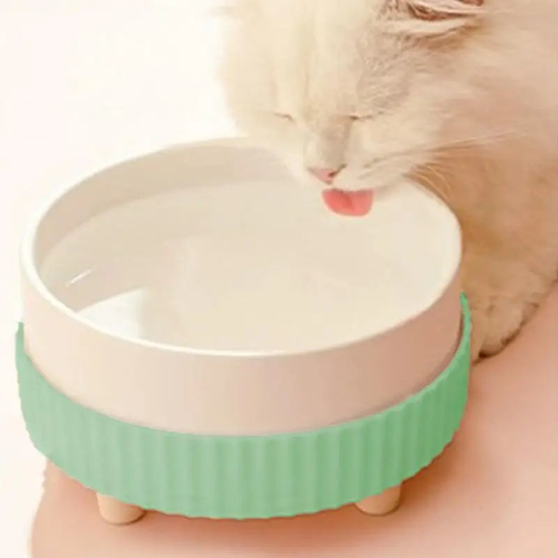 Heated Pet Bowl: Always Warm Water for Your Furry Friend