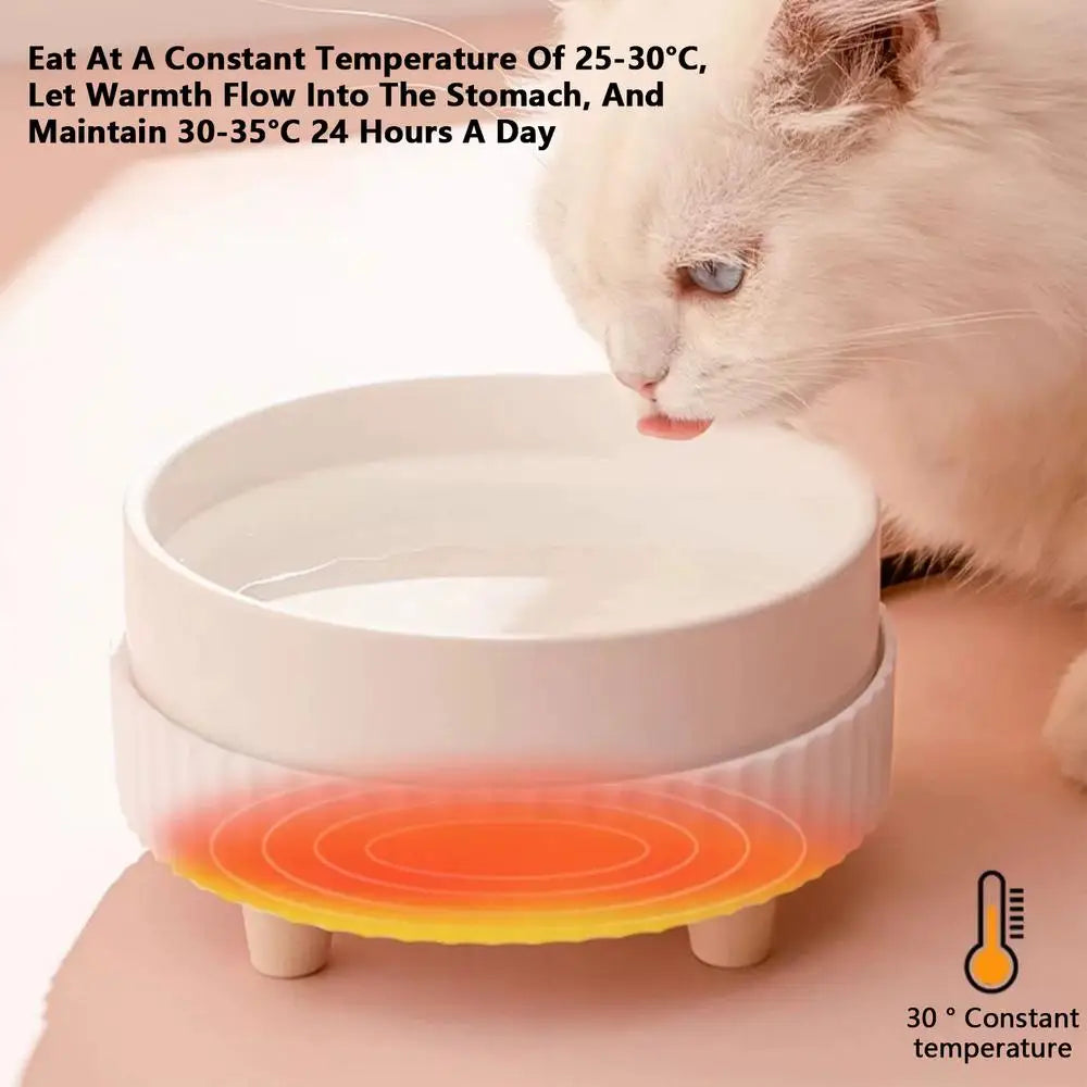 Heated Pet Bowl: Always Warm Water for Your Furry Friend