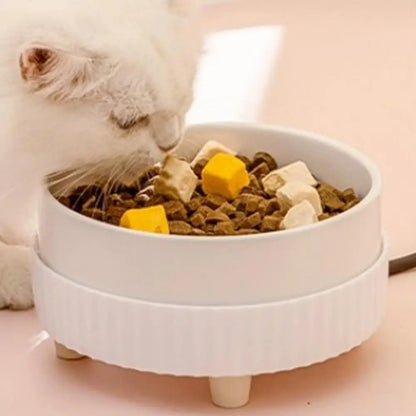 Heated Pet Bowl: Always Warm Water for Your Furry Friend