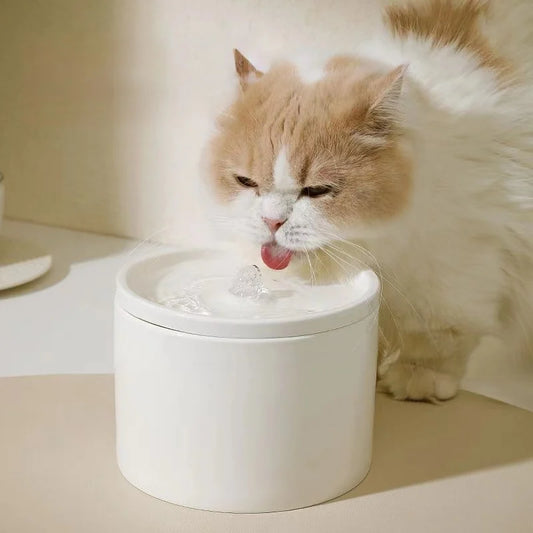 Stylish ceramic water filter for pets