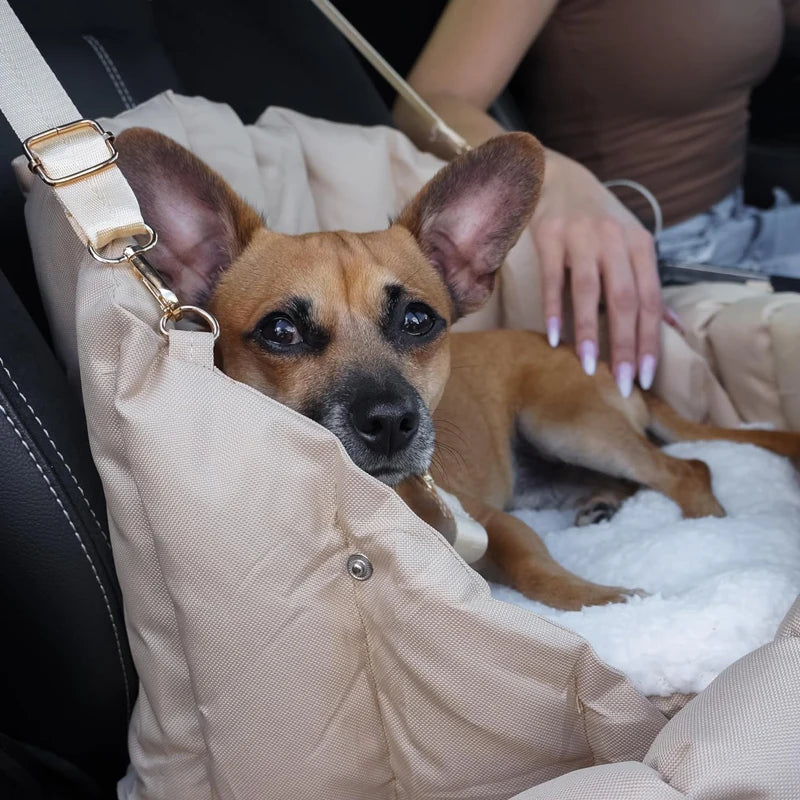 Safe & Stylish Pet Carrier: Travel in Comfort!