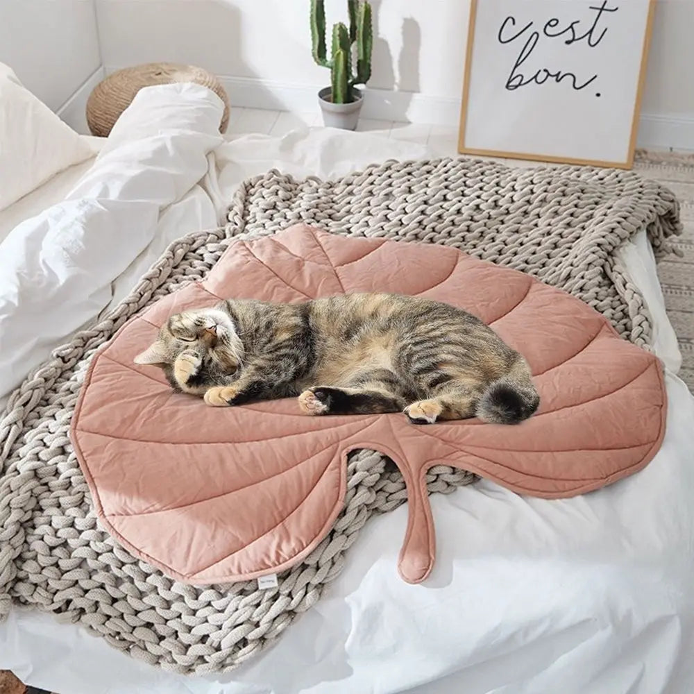 Leaf-Shaped Pet Bed: Cozy Comfort for Your Furry Friend