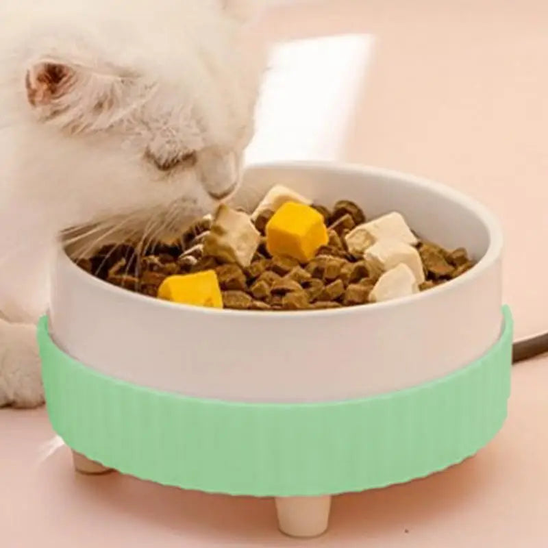 Heated Pet Bowl: Always Warm Water for Your Furry Friend