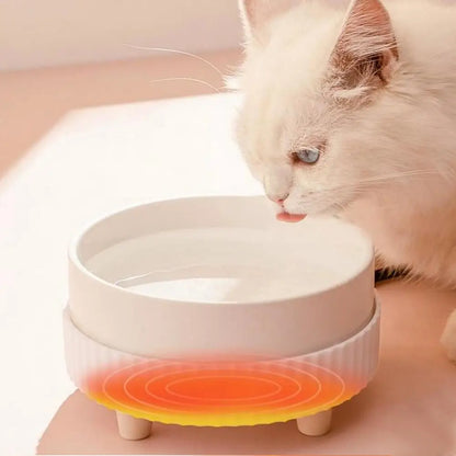 Heated Pet Bowl: Always Warm Water for Your Furry Friend