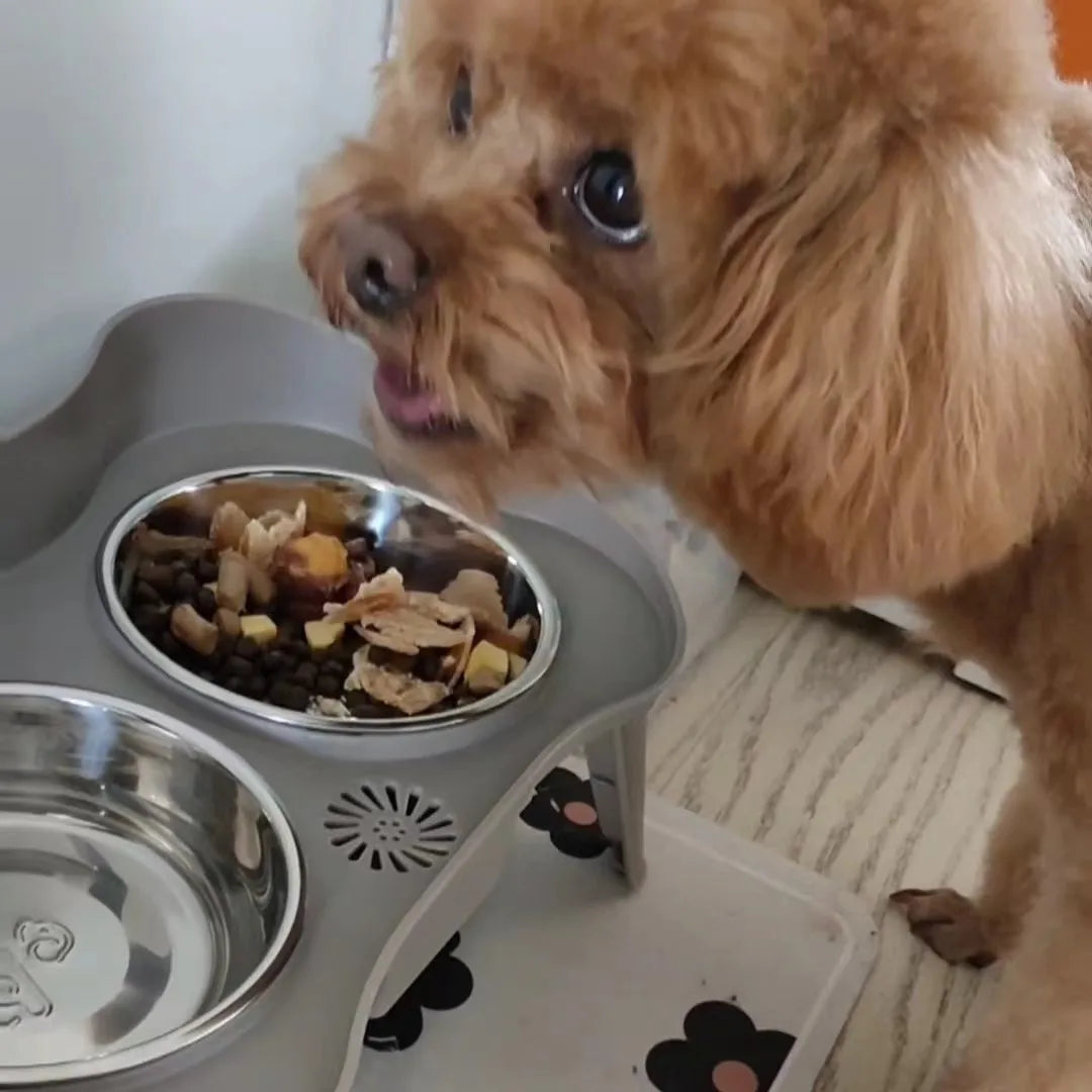 Elevated Dog Bowls: Healthy Eating for Happy Dogs