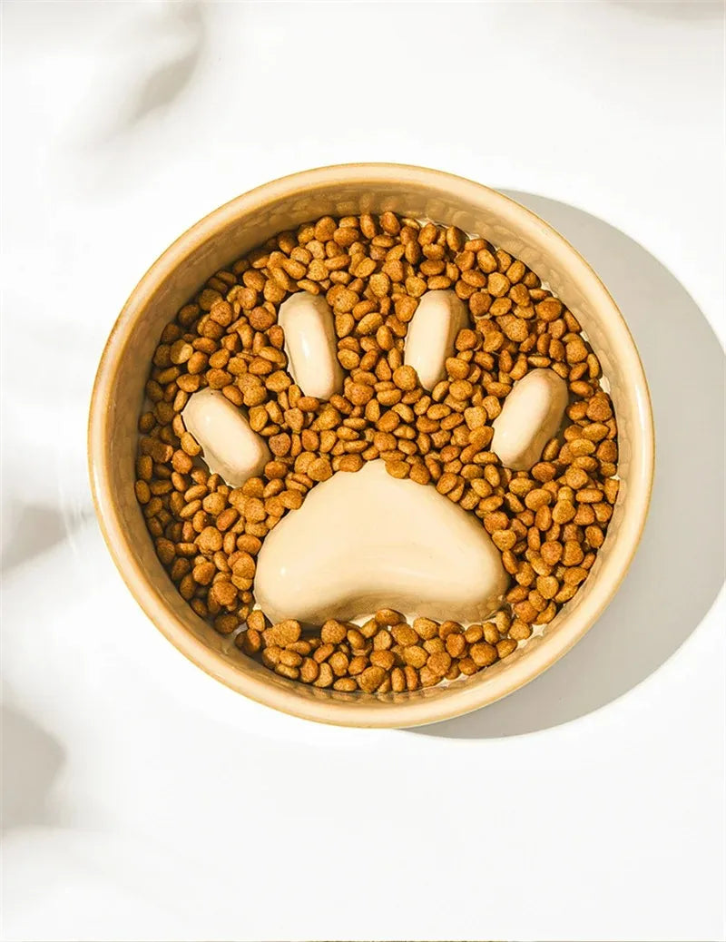 Ceramic Slow Feeder Bowl for Happy & Healthy Pets