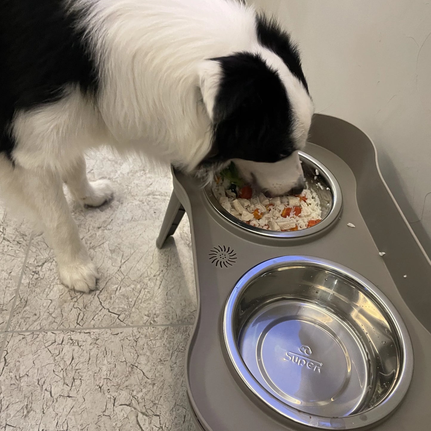 Elevated Dog Bowls: Healthy Eating for Happy Dogs