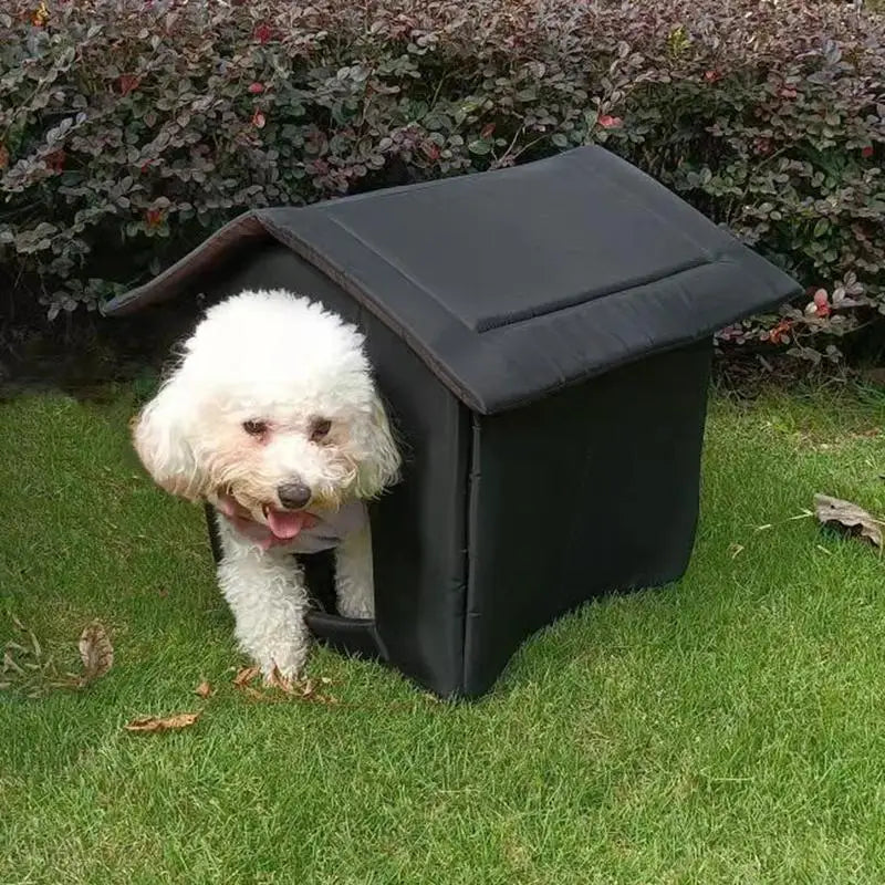 Waterproof Pet House: Keep Your Furry Friend Warm & Dry!