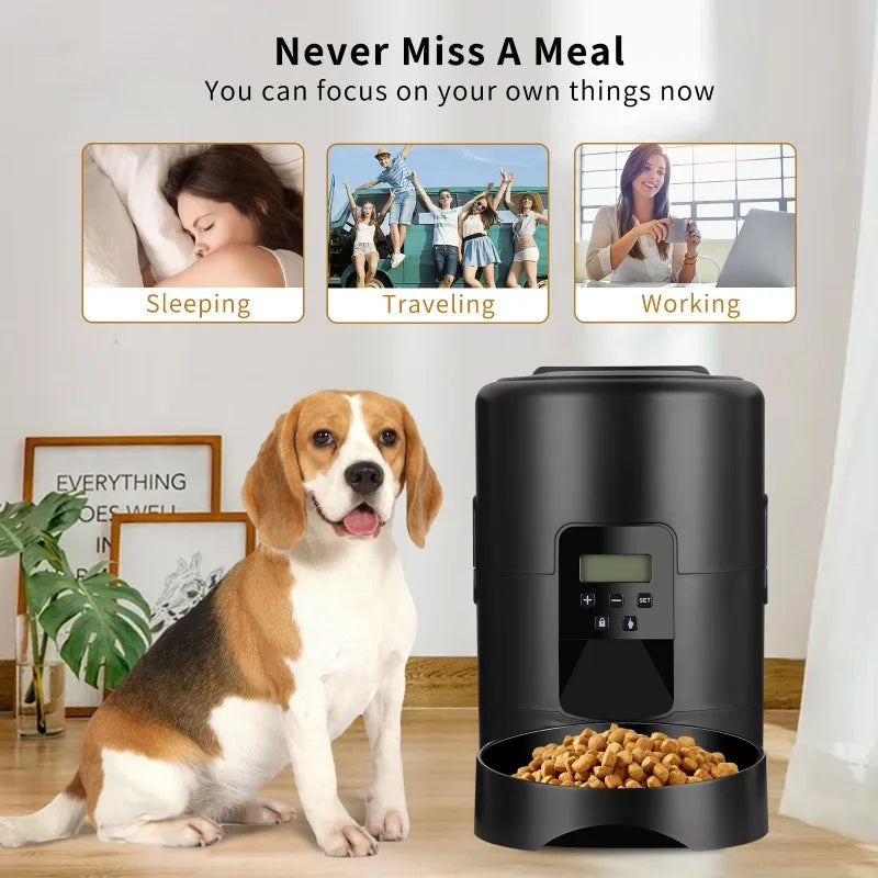 Smart Automatic Pet Feeder:  Timed Feeding for Happy Pets