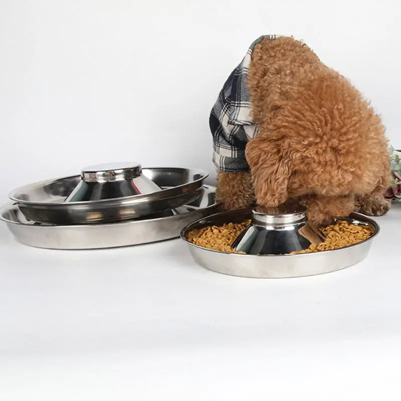 Stainless Steel Dog Bowls:  Happy & Healthy Feeding