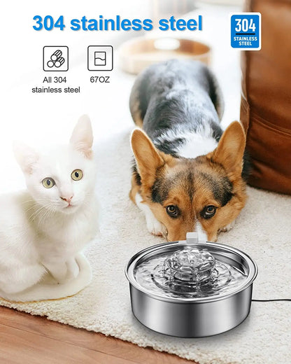 Spoil Your Furry Friend: 2.0L Automatic Cat Water Fountain