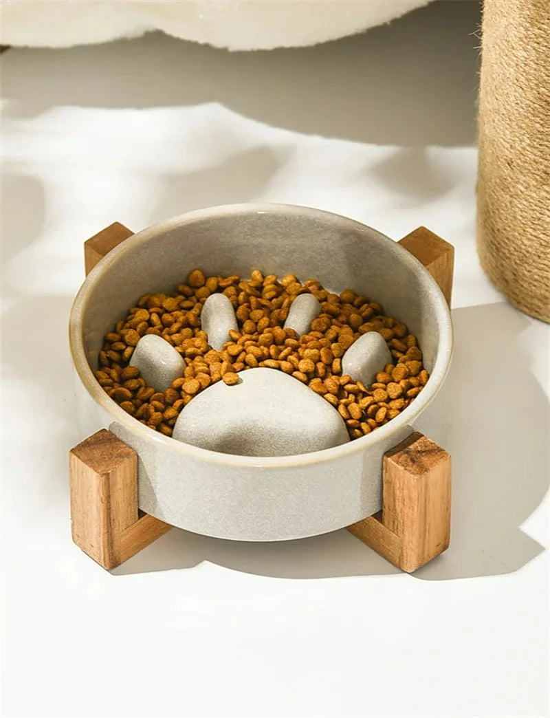 Ceramic Slow Feeder Bowl for Happy & Healthy Pets