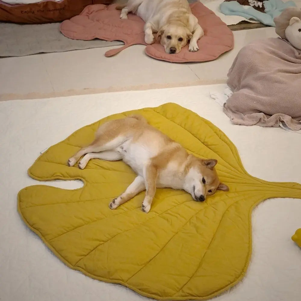 Leaf-Shaped Pet Bed: Cozy Comfort for Your Furry Friend