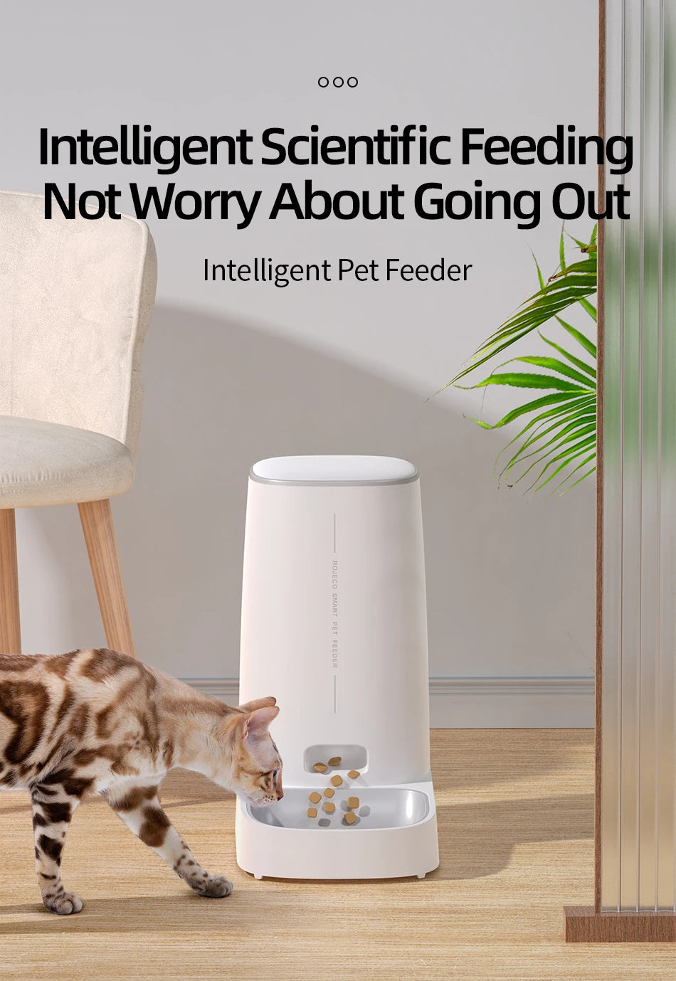 ROJECO Smart Pet Feeder: Stress-Free Feeding for Your Furry Friend