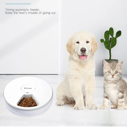 Smart Automatic Pet Feeder: Say Goodbye to Mealtime Worries!