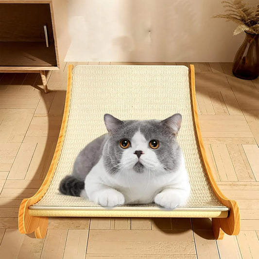 Cat Scratching Bed: Protect Furniture & Pamper Your Pet!