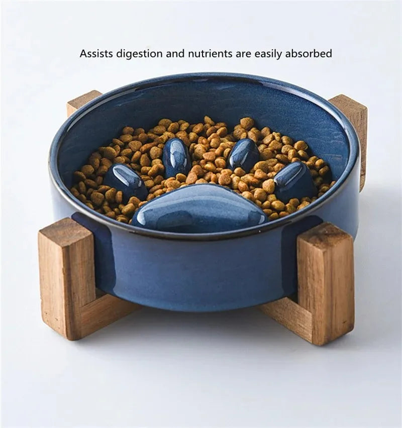 Ceramic Slow Feeder Bowl for Happy & Healthy Pets