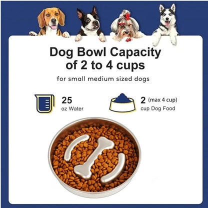 Slow Feeder Bowl for Happy & Healthy Dogs