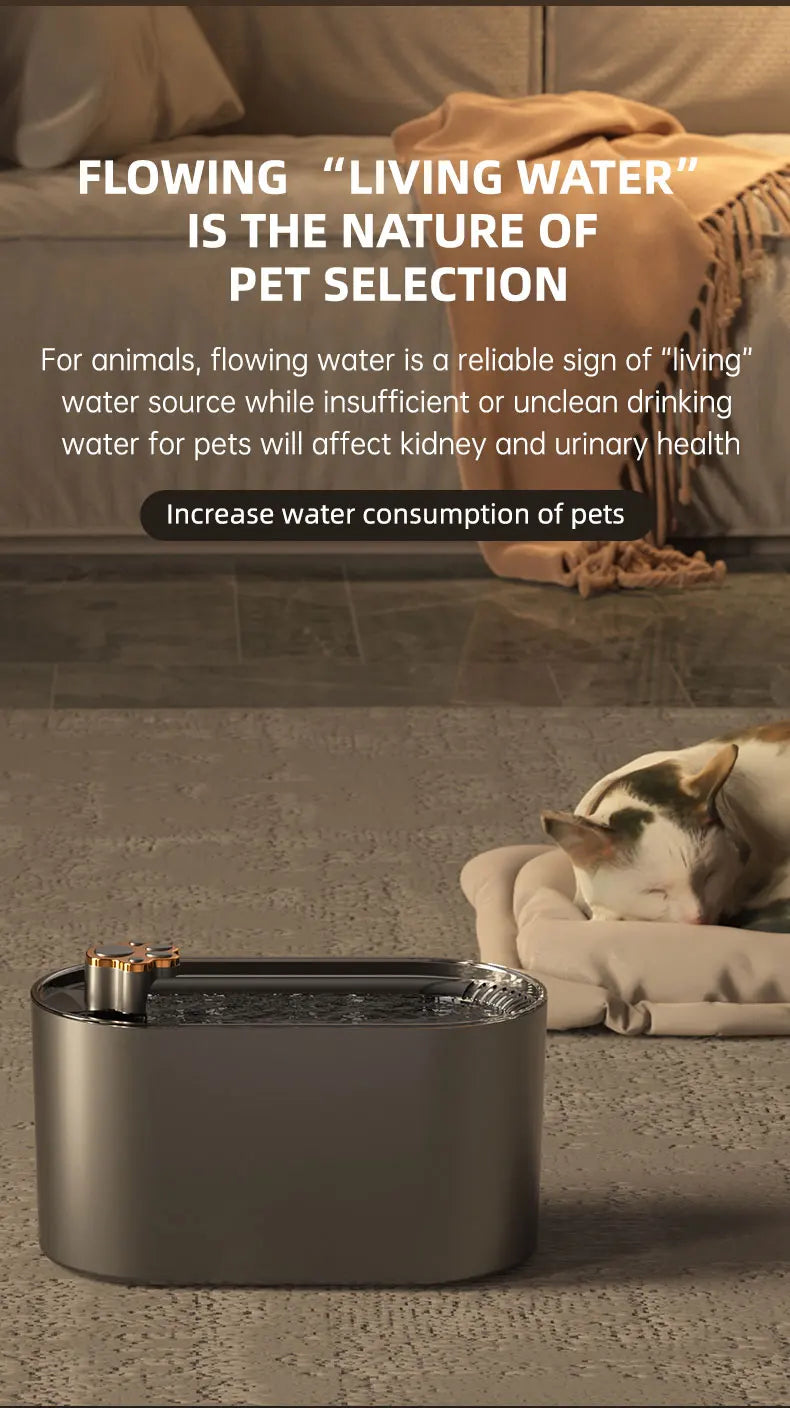 3L Automatic Pet Water Fountain: Quiet & Filtered Hydration