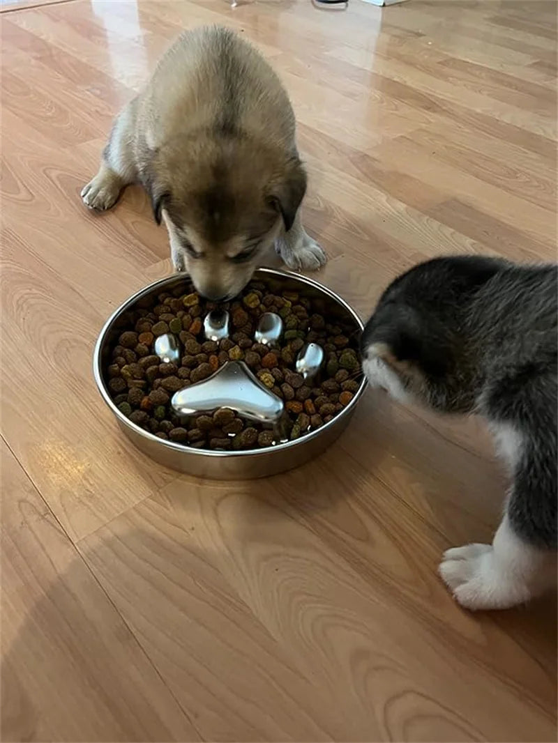 Slow Feeder Bowl for Happy & Healthy Dogs