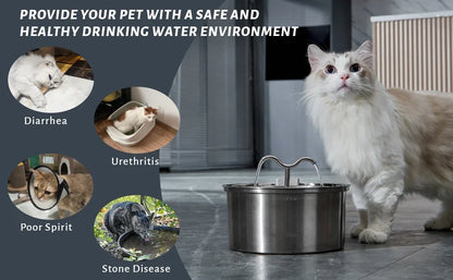 Cat Stainless Steel Pet Fountain: Hydration Happiness