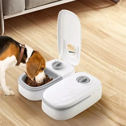 Automatic Pet Feeder: Stress-Free Feeding for Your Furry Friend