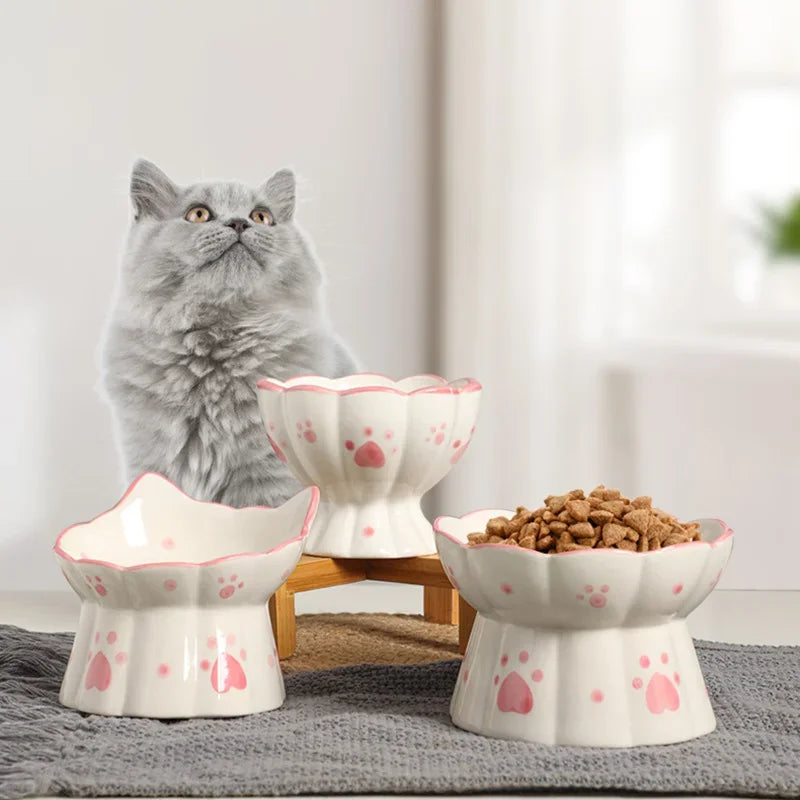 Elevated Ceramic Pet Bowls: Style & Comfort